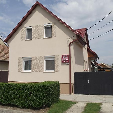 Radek Vendeghaz Es Apartman Halászi 外观 照片